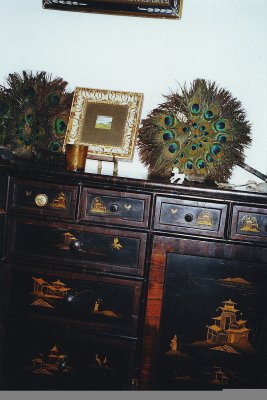 bureau + peacock feathers.jpg