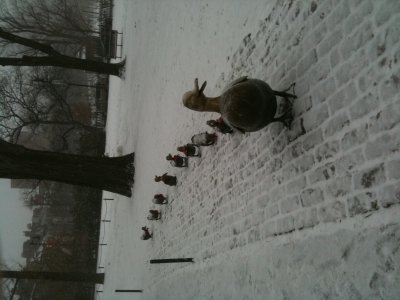 Ducks in a row with Xmas scarves.JPG