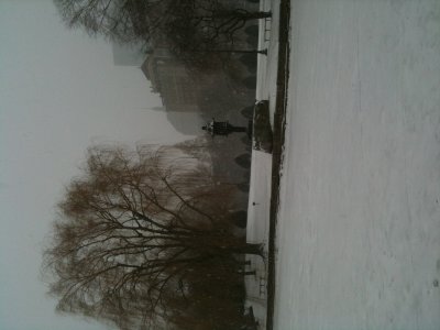 Looking SW from frozen duck pond.JPG