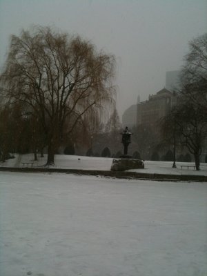 Looking SW from frozen duck pond 2.jpg