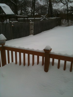 almost gone.jpg