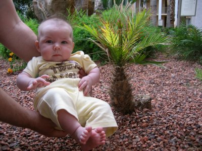 Baby girl baby palm