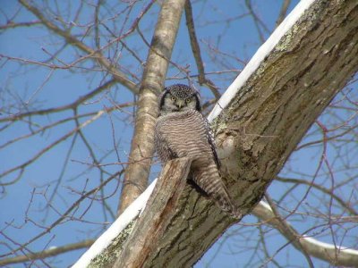2009_0112Image0059.JPG