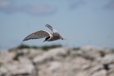 g1/65/426865/3/114938553.MBn0YkuG.jpg