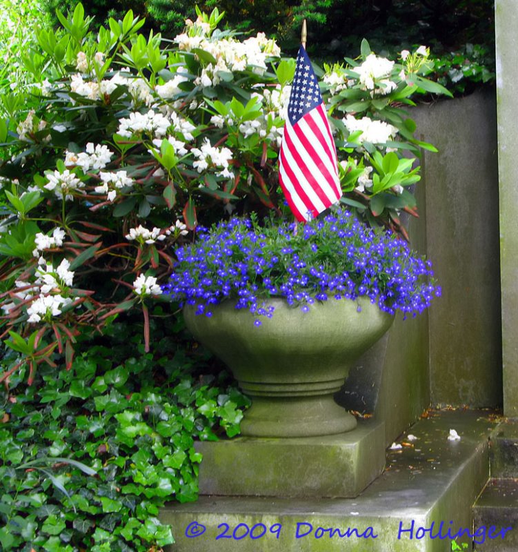 Flower Display