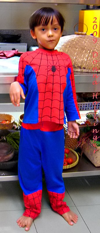 My Spiderman, Wija