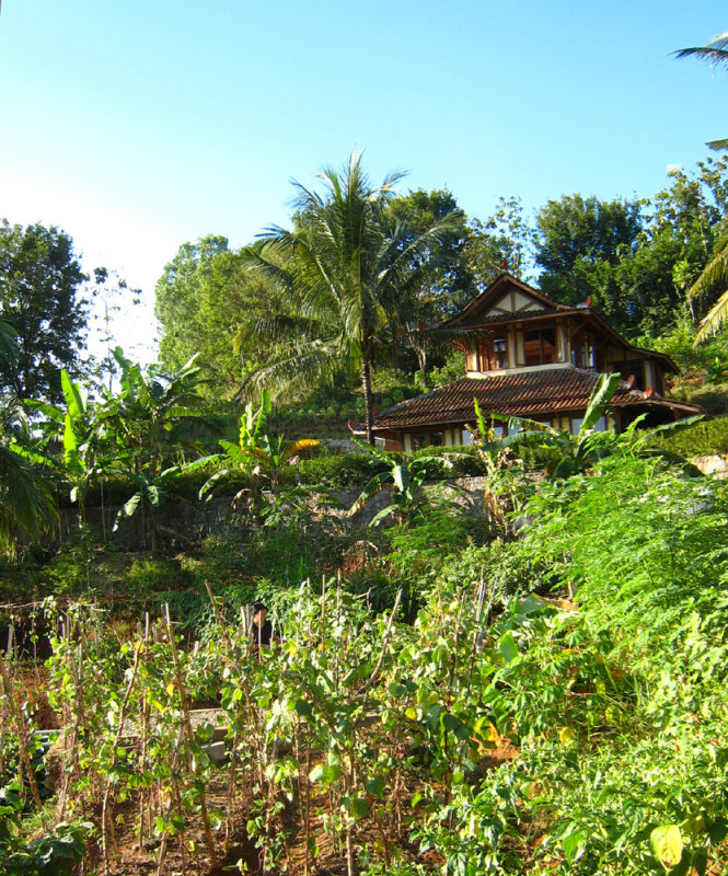 looking up to the House