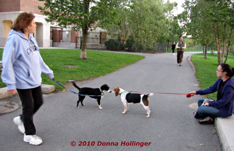 Barbara and Stella Walking at Fresh Pond