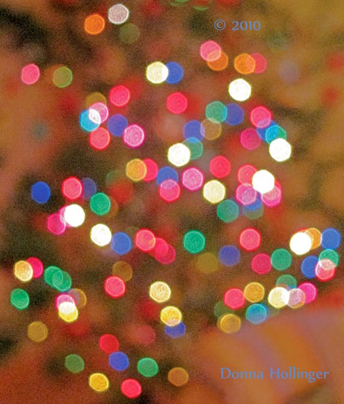 Christmas Lights At Annis