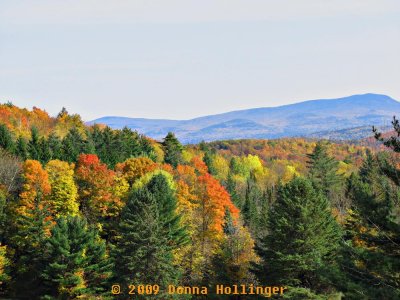 Vermont View in Fall