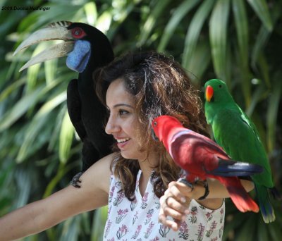 Birds in the hand...