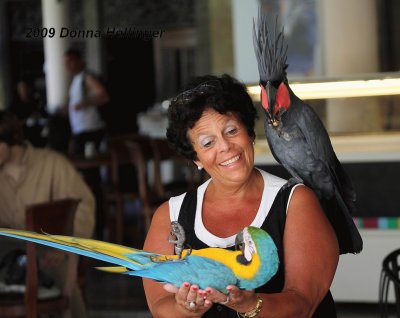 Woman wearing A Cockatoo and carrying a Macaw!