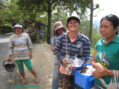 Women Vending Near Mount Batur