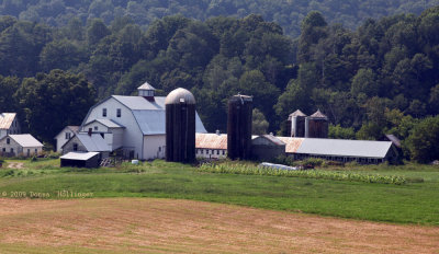 Dairy Buildings