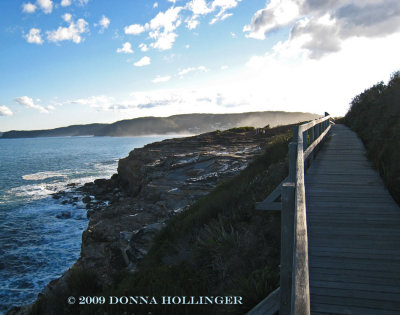 Coastal Walk and Cliff