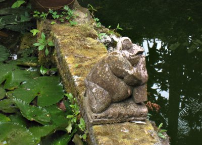 Wija's Frog Sculpture