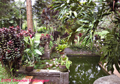 Pupuan Garden