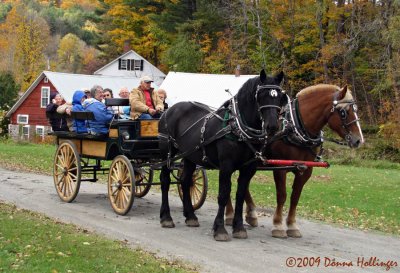 Grandpa's Rides