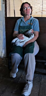 Donna, Petting a Chicken