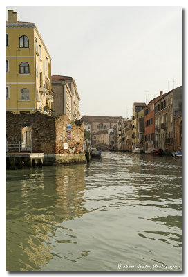 DSC_1555a.jpg