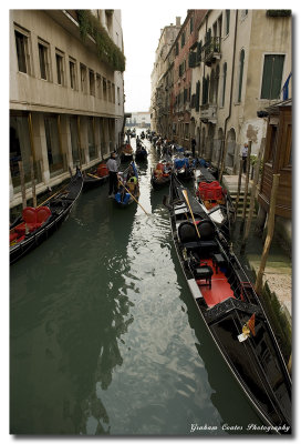 DSC_1639a.jpg