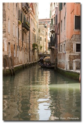 DSC_1964a.jpg