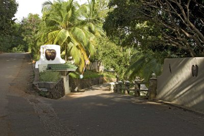 1am Coco De Mer, Praslin.jpg