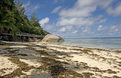 1hf Coco De Mer, Praslin.jpg