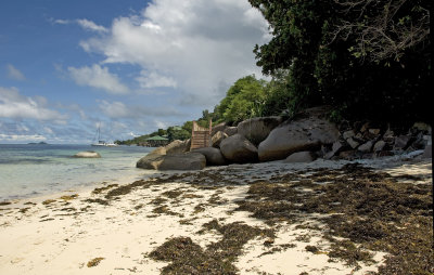 1hm Coco De Mer, Praslin.jpg