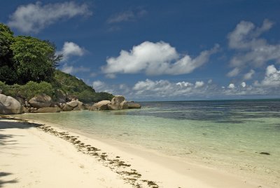 1hs Coco De Mer, Praslin.jpg