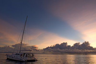 1kf Coco De Mer, Praslin.jpg