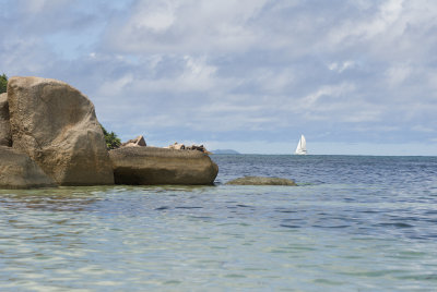 1km Coco De Mer, Praslin.jpg