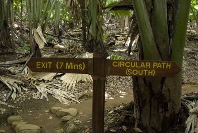 Vallee De Mai