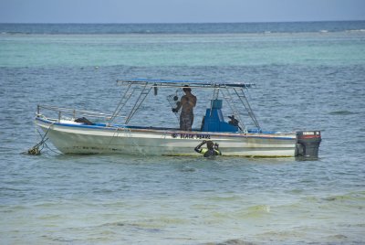 5aza Diving for Black Pearls, Bois Verse, Praslin.jpg