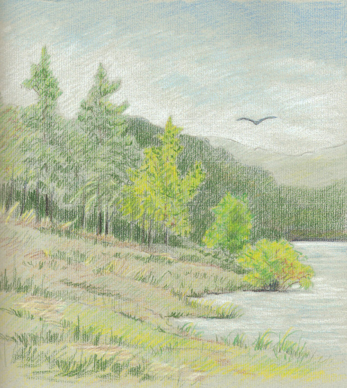 At the waters edge