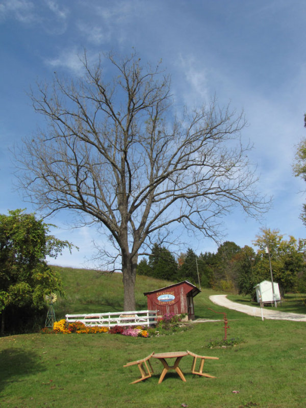 Steamboat-Junction.jpg