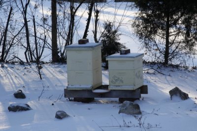 Bee Henge in winter