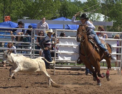 img_0520.jpg