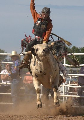 img_0789.jpg