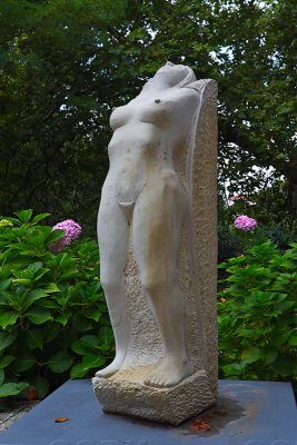 _MG_5176.jpg