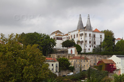 _MG_5195.jpg