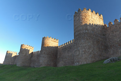 _MG_5287.jpg