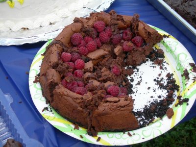 Delicious Chocolate Cheese Cake by Jane Thornhill