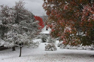 A Winter Scene