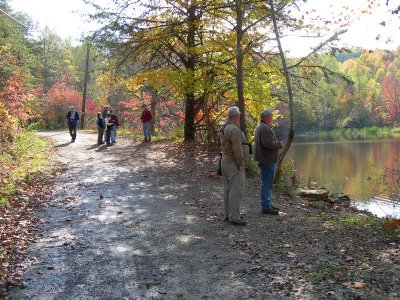 The Beaver Pond