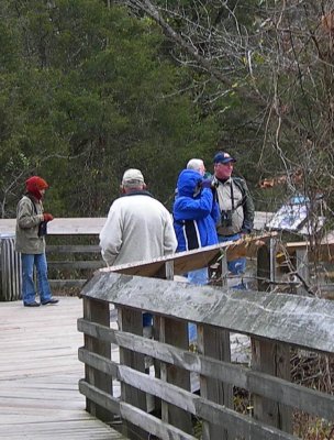 Sandstone Falls walkway