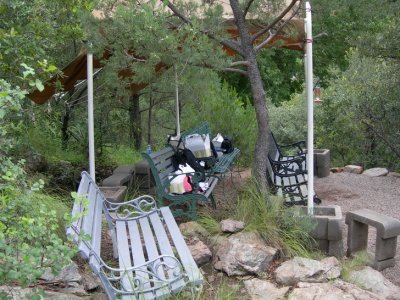 Benches for watching the hummers