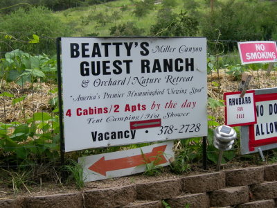 Beatty's Guest Ranch - Miller Canyon