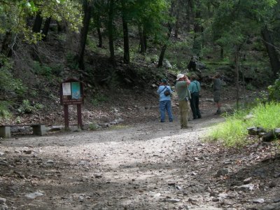 Ramsey Canyon - Beginning of trail