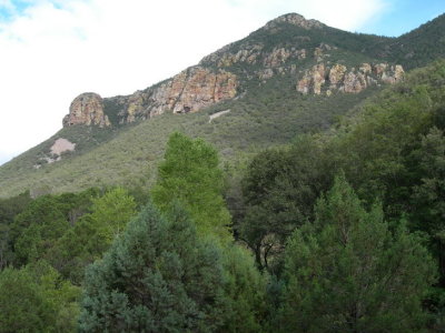 View in Ramsey Canyon